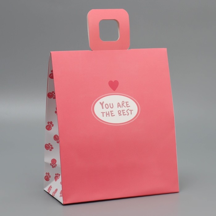 Пакет подарочный с формовым клапаном, упаковка, &laquo;Котик&raquo;, 23 х 27 х 11.5 см