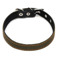 Ошейник брезентовый с подкладом, 50 х 2 см, ОШ 25-35 см, хаки Ошейник брезентовый с подкладом, 50 х 2 см, ОШ 25-35 см, хаки