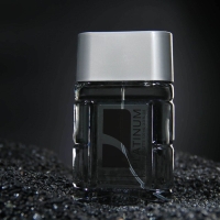 Туалетная вода мужская Platinum Bottled, 100 мл (по мотивам Polo (R.Lauren)