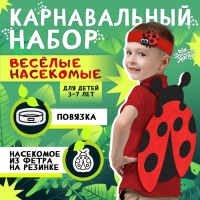 Карнавальный набор «Весёлые насекомые»: повязка и божья коровка из фетра, 3–7 лет Карнавальный набор «Весёлые насекомые»: повязка и божья коровка из фетра, 3–7 лет