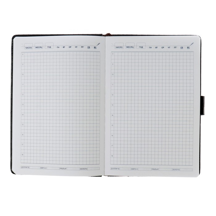 Ежедневник недатированный А5, 140 листов в клетку, с хлястиком, обложка кожзам, МИКС