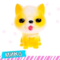 Питомец «Любимый», МИКС Питомец «Любимый», МИКС