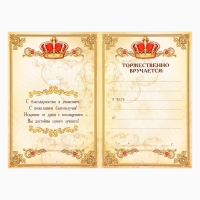 Медаль юбилейная царская «Почетная юбилярша», d=5 см. Медаль юбилейная царская «Почетная юбилярша», d=5 см.