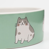Миска керамическая "Котяры" 300 мл 12,5 x 4,5 cм, бело-зелёная Миска керамическая "Котяры" 300 мл 12,5 x 4,5 cм, бело-зелёная