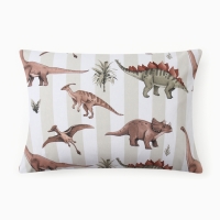 Наволочка "Этель" Юрский период, 50х70 см, 100% хлопок, бязь Наволочка "Этель" Юрский период, 50х70 см, 100% хлопок, бязь