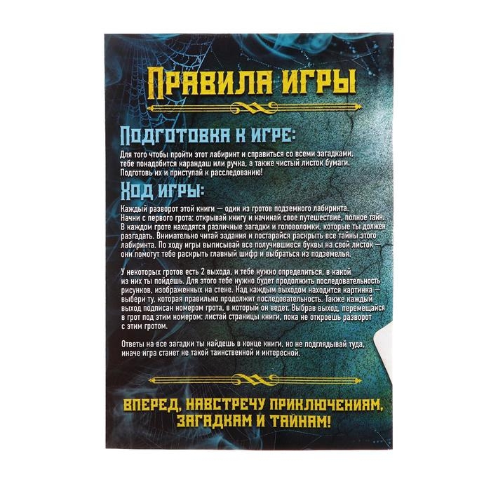 Книга-квест &laquo;Загадка подземного лабиринта&raquo; версия 1, 7+