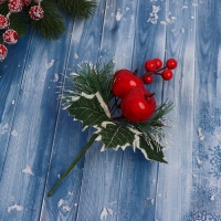 Декор "Зимние грезы" яблоки снежные еловые веточки шишки, 16 см Декор "Зимние грезы" яблоки снежные еловые веточки шишки, 16 см