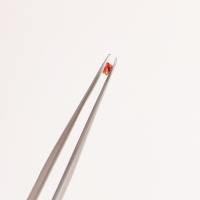 Фигурки для дизайна ногтей &laquo;Камень&raquo;, объёмные, разноцветные