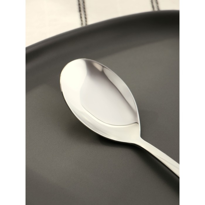 Ложка столовая из нержавеющей стали Magistro Bravo, длина 18 см, толщина 2 мм, цвет серебряный Ложка столовая из нержавеющей стали Magistro Bravo, длина 18 см, толщина 2 мм, цвет серебряный
