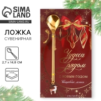 Ложка столовая с акриловым подвесом «Чудеса рядом», нержавеющая сталь, 14. 8 х 2.7 см Ложка столовая с акриловым подвесом «Чудеса рядом», нержавеющая сталь, 14. 8 х 2.7 см