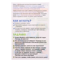 Развивающая книга с зеркалом «Межполушарное развитие» Развивающая книга с зеркалом «Межполушарное развитие»