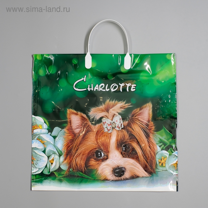 Пакет Пакет "Шарлотта", полиэтиленовый с пластиковой ручкой, 38 х 35 см, 90 мкм