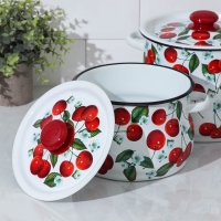 Набор кастрюль «Сочная вишня», 2 предмета: 4.5 л, 5 л, эмалированные крышки, цвет белый Набор кастрюль «Сочная вишня», 2 предмета: 4.5 л, 5 л, эмалированные крышки, цвет белый