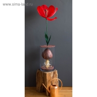 Бумага гофрированная, 991 "Зелёный лист", 50 см х 2,5 м Бумага гофрированная, 991 "Зелёный лист", 50 см х 2,5 м