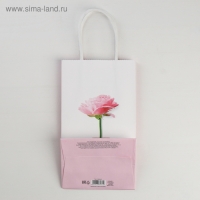 Пакет подарочный крафт, упаковка, «Be happy», 12 х 21 х 9 см Пакет подарочный крафт, упаковка, «Be happy», 12 х 21 х 9 см