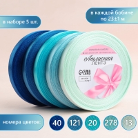 Набор атласных лент, 5 шт, размер 1 ленты: 10 мм × 23 ± 1 м, цвет синий спектр Набор атласных лент, 5 шт, размер 1 ленты: 10 мм × 23 ± 1 м, цвет синий спектр