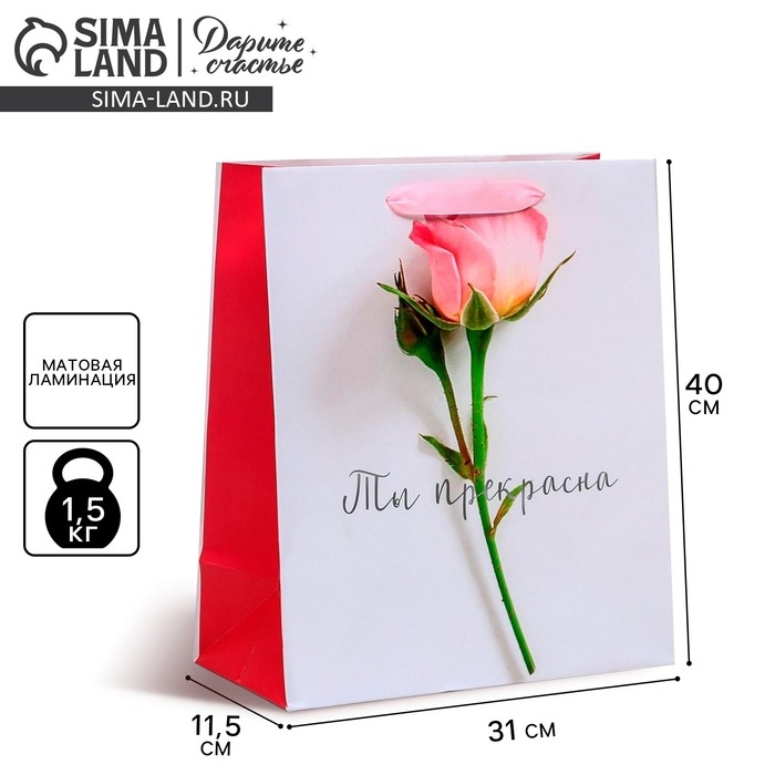 Пакет подарочный ламинированный вертикальный, упаковка, «Ты прекрасна», L 31 х 40 х 11,5 см Пакет подарочный ламинированный вертикальный, упаковка, «Ты прекрасна», L 31 х 40 х 11,5 см