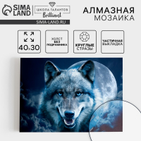 Алмазная мозаика с частичным заполнением на холсте &laquo;Магия волка&raquo;, 30 х 40 см