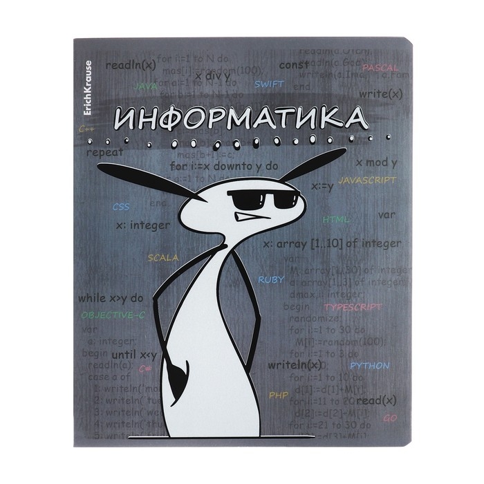 Тетрадь предметная ИНФОРМАТИКА, 48 листов в клетку, ErichKrause Тетрадь предметная ИНФОРМАТИКА, 48 листов в клетку, ErichKrause "Чубрик", пластиковая обложка, шелкография, блок офсет 100% белизна, инфо-блок