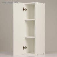 Шкаф навесной для ванной комнаты, две полки,   24 х 24 х 80 см