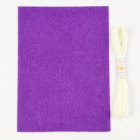 Набор для шитья. Игрушка из фетра своими руками с термонаклейкой &laquo;Сова&raquo;