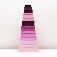 Набор коробок 10 в 1 "Лаванда" 30,5 х 20 х 13 - 12 х 6,5 х 4 см Набор коробок 10 в 1 "Лаванда" 30,5 х 20 х 13 - 12 х 6,5 х 4 см