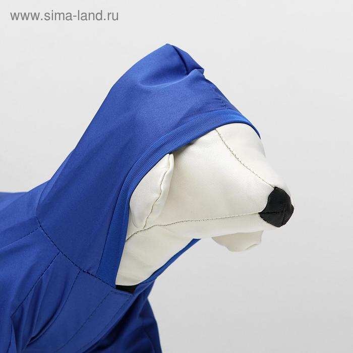 Комбинезон для животных, без подклада, XL, ДС 32-34, ОШ 32, ОГ 46-48 см, синий