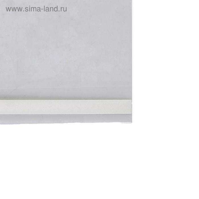 Карман-держатель для информации, клеящаяся основа, формат А4 вертикальный, 21×0,2×30 см Карман-держатель для информации, клеящаяся основа, формат А4 вертикальный, 21×0,2×30 см