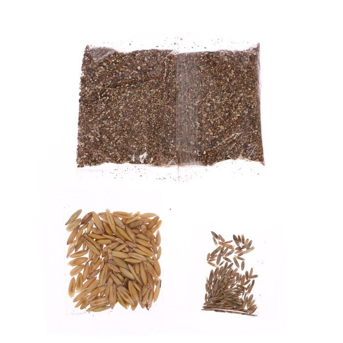 Набор для опытов «Мой мини-сад: Пони», вырасти травку Набор для опытов «Мой мини-сад: Пони», вырасти травку