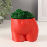 Предмет интерьера "Невинный вид" высота 7см, ширина 8,5см красный со мхом (мох зелен. стаб 1041209 Предмет интерьера "Невинный вид" высота 7см, ширина 8,5см красный со мхом (мох зелен. стаб 1041209