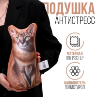 Антистресс игрушка, кот «Абисс» Антистресс игрушка, кот «Абисс»