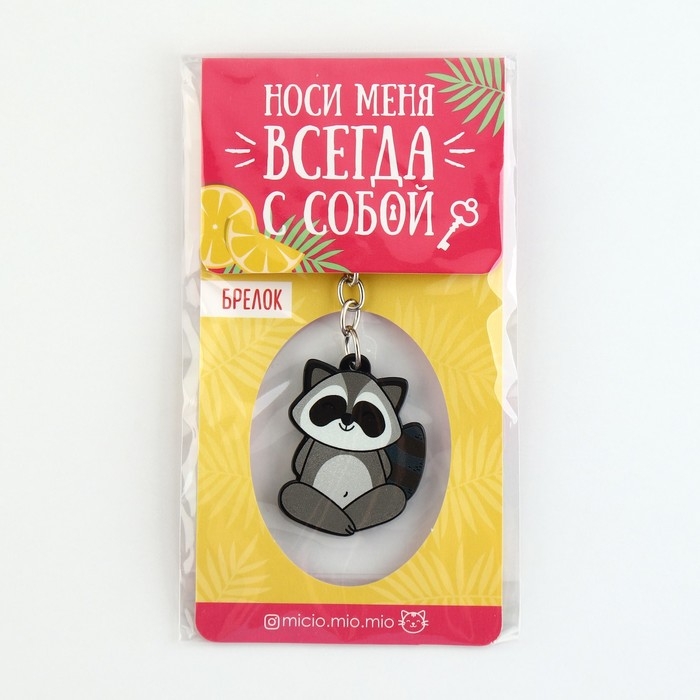 Брелок для ключей акриловый &laquo;Енот&raquo;, 7.2 х 14 см