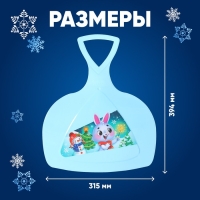 Ледянка «Новогодний заяц» Ледянка «Новогодний заяц»