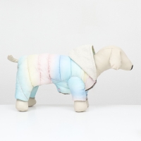 Комбинезон "Для прогулки", размер 12 (ДС 24 см, ОГ 38 см, ОШ 27 см), пастельный Комбинезон "Для прогулки", размер 12 (ДС 24 см, ОГ 38 см, ОШ 27 см), пастельный