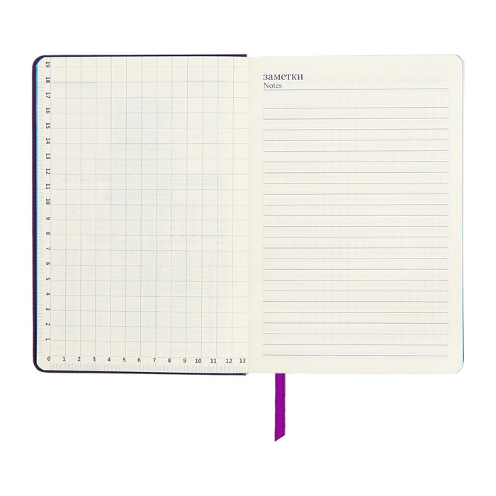Ежедневник недатированный A5, 140л, клетка, кожзам, на резинке, синий срез, Фиолетовый Ежедневник недатированный A5, 140л, клетка, кожзам, на резинке, синий срез, Фиолетовый