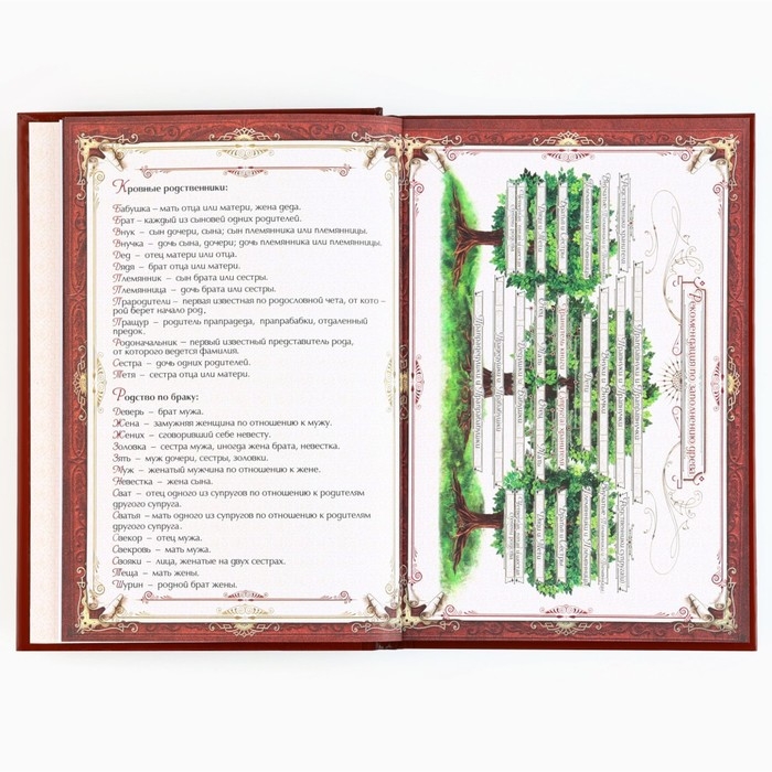 Подарочный набор родословная книга в шкатулке &laquo;Новый год: Дед мороз&raquo;
