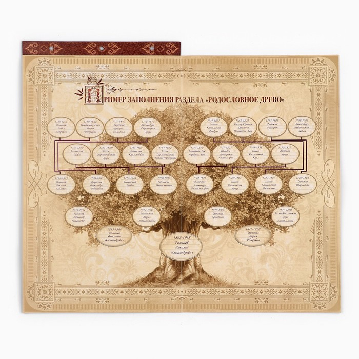 Родословная книга с рамкой под фото «Родословная книга», под дерево, 50 листов, 21,5 х 23,7 см. Родословная книга с рамкой под фото «Родословная книга», под дерево, 50 листов, 21,5 х 23,7 см.