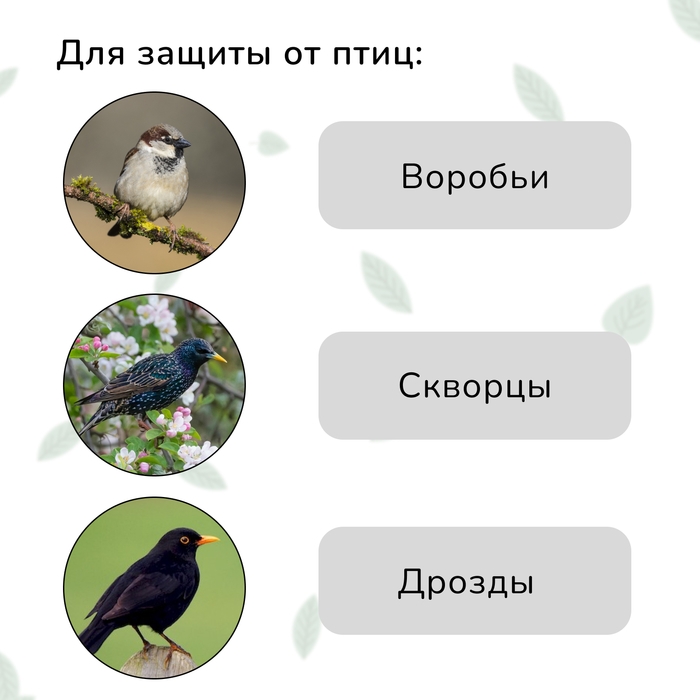 Сетка садовая, мягкая, 10 &times; 2 м, ячейка 15 &times; 15 мм, от птиц , Greengo