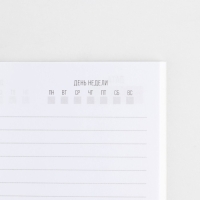 Ежедневник А5, 80 л &laquo;Россия&raquo;