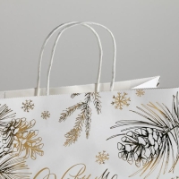 Пакет подарочный новогодний крафтовый Best winter, 32 х 28 х 15 см