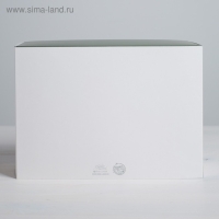 Коробка подарочная складная, упаковка, Present for you, 25 х 18 х 10 см