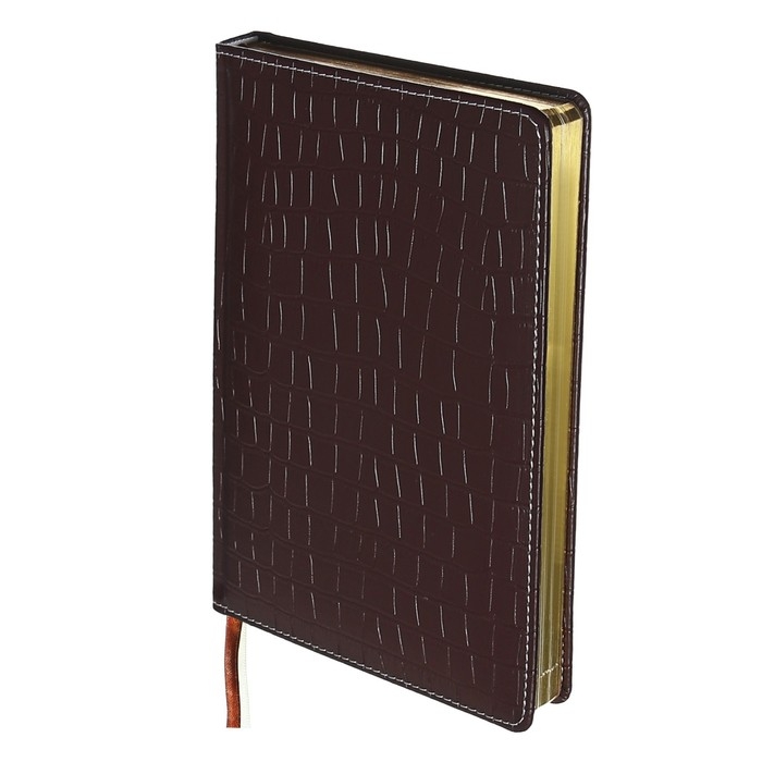 Ежедневник датированный 2024 A5 176 листов, deVENTE.Wild, твёрдая обложка из искусственной кожи, золотой срез, ляссе, кремовый блок 70 г/м2, тёмно-коричневый