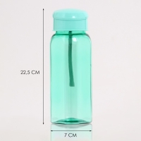 Бутылка для воды, 550 мл, "Лагуна", 4.7 х 22.5 х 7 см, микс Бутылка для воды, 550 мл, "Лагуна", 4.7 х 22.5 х 7 см, микс