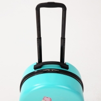 Чемодан детский 28 л (XS), HappyAnt, отдел на молнии, цвет бирюзовый