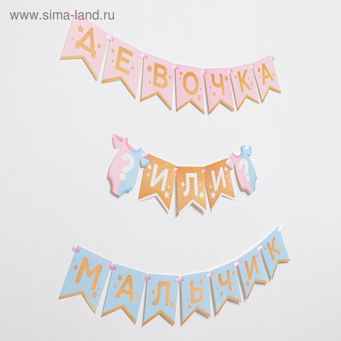 Гирлянда на ленте &laquo;Гендер пати&raquo;, мальчик или девочка, длина 220 см