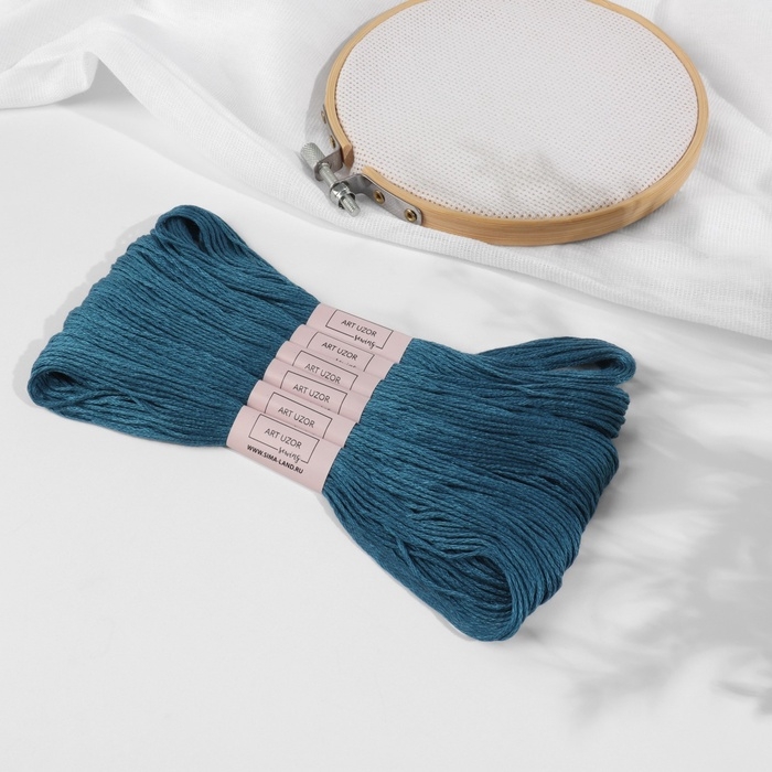 Набор ниток мулине №3842, 8 &plusmn; 1 м, 6 шт, цвет тёмно-синий