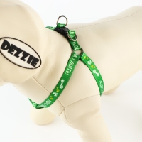 Комплект «Пора гулять», шлейка 24-34 см, поводок 120х1 см Комплект «Пора гулять», шлейка 24-34 см, поводок 120х1 см