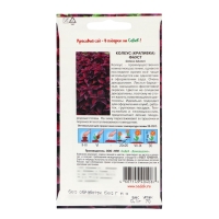Семена цветов Колеус "Фаус", Евро, 0,1 г Семена цветов Колеус "Фаус", Евро, 0,1 г