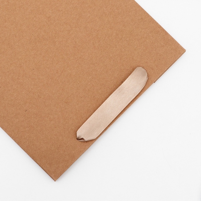 Пакет крафт без печати, 20 х 10 х 28 см 260 г/м2