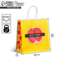 Пакет подарочный крафтовый, упаковка, &laquo;Сладость&raquo;, 22 х 22 х 11 см